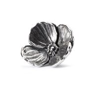 Charm Trollbeads Beads in Argento TAGBE-20145